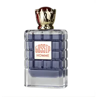 Мъжки Парфюм My Perfumes Gossip Homme EDP 100 мл.